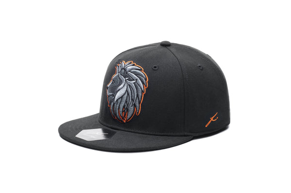Gorra ajustable de mascota de Holanda