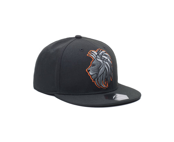 Gorra ajustable de mascota de Holanda